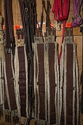Fall Colors Ride at Mountain Top Resort, Vermont