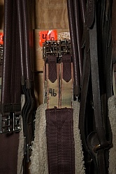 Fall Colors Ride at Mountain Top Resort, Vermont