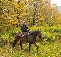 Fall Colors Ride at Mountain Top Resort, Vermont