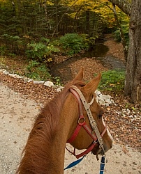 Fall Colors Ride at Mountain Top Resort, Vermont