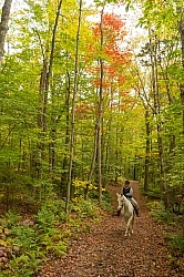 Fall Colors Ride at Mountain Top Resort, Vermont Fall Colors Ride at Mountain Top Resort, Vermont