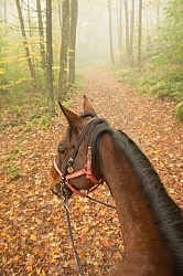 Fall Colors Ride at Mountain Top Resort, Vermont Fall Colors Ride at Mountain Top Resort, Vermont