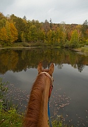 Fall Colors Ride at Mountain Top Resort, Vermont Fall Colors Ride at Mountain Top Resort, Vermont