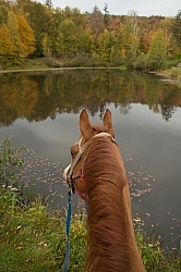 Fall Colors Ride at Mountain Top Resort, Vermont Fall Colors Ride at Mountain Top Resort, Vermont