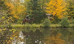 Fall Colors Ride at Mountain Top Resort, Vermont Fall Colors Ride at Mountain Top Resort, Vermont