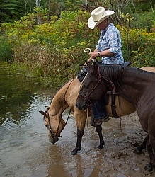 Ponying in the Ganaraska Forest Ponying a Horse to Water