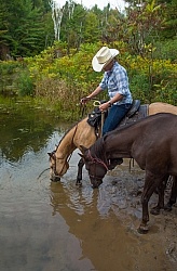 Ponying in the Ganaraska Forest Ponying a Horse to Water
