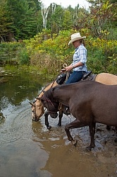 Ponying in the Ganaraska Forest Ponying a Horse to Water