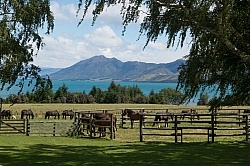 Hunter Valley Station, New Zealand