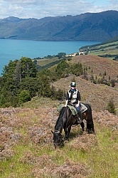 Hunter Valley Station, New Zealand