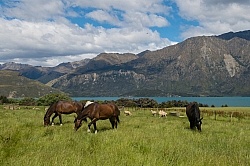 Hunter Valley Station, New Zealand