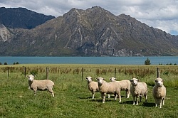 Hunter Valley Station, New Zealand