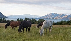 Hunter Valley Station, New Zealand
