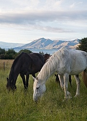 Hunter Valley Station, New Zealand
