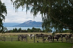 Hunter Valley Station, New Zealand