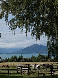 Hunter Valley Station, New Zealand