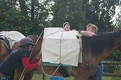 The Ride to Boundary Hut From Hunter Valley Station