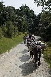 The Ride to Boundary Hut From Hunter Valley Station