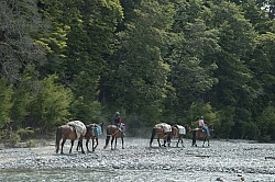 The Ride to Boundary Hut From Hunter Valley Station