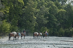 The Ride to Boundary Hut From Hunter Valley Station