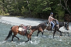 The Ride to Boundary Hut From Hunter Valley Station