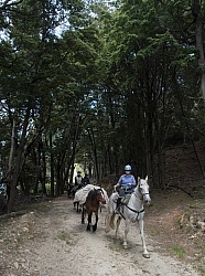 The Ride to Boundary Hut From Hunter Valley Station