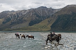 The Ride to Boundary Hut From Hunter Valley Station