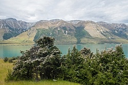 The Ride to Boundary Hut From Hunter Valley Station