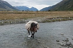 The Ride to Boundary Hut From Hunter Valley Station