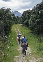 The Ride to Boundary Hut From Hunter Valley Station