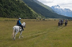 The Day Ride From Boundary Hut, Wild Womens Expeditions with Adventure Horse Trekking New Zealand