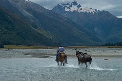 A River Crossing on the Day Ride From Boundary Hut, Wild Womens Expeditions with Adventure Horse Trekking New Zealand