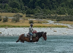A River Crossing on the Day Ride From Boundary Hut, Wild Womens Expeditions with Adventure Horse Trekking New Zealand