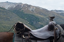Waiting for the Day Ride fromBoundary Hut, Wild Womens Expeditions with Adventure Horse Trekking New Zealand