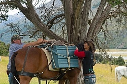 Packing up the Horses for Ride from Boundary Hut to Dingleburn Station