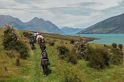 Ride from Boundary Hut to Dingleburn Station