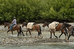 John with the Pack Horses Crossing a River on the Ride from Boundary Hut to Dingleburn Station