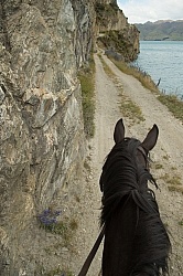 On the road Out of Dingleburn Station on the Land of the Long White Cloud Ride with Wild Womens Expeditions and Adventure Horse Trekking New Zealand