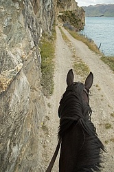 On the road Out of Dingleburn Station on the Land of the Long White Cloud Ride with Wild Womens Expeditions and Adventure Horse Trekking New Zealand