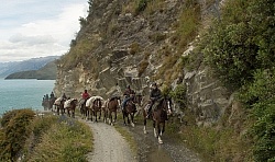 On the road Out of Dingleburn Station on the Land of the Long White Cloud Ride with Wild Womens Expeditions and Adventure Horse Trekking New Zealand