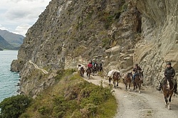 On the road Out of Dingleburn Station on the Land of the Long White Cloud Ride with Wild Womens Expeditions and Adventure Horse Trekking New Zealand