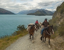 On the road Out of Dingleburn Station on the Land of the Long White Cloud Ride with Wild Womens Expeditions and Adventure Horse Trekking New Zealand