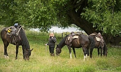 Ready to Ride Out of Leave Dingleburn Station on the Land of the Long White Cloud Ride with Wild Womens Expeditions and Adventure Horse Trekking New Zealand