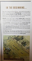 Maude Winery in Wanuka