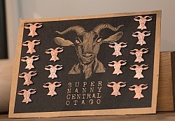 Nanny Goat Winery Wine Tastinf Day of Wild Womens Expeditions Ne