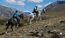 Heading Up the Mountain in Ahuriri Conservation Area New Zealand , Wild Women Expeditions with Adventure Horse Trekking New Zealand Heading Up the Mountain in Ahuriri Conservation Area New Zealand , Wild Women Expeditions with Adventure Horse Trekking New Zealand