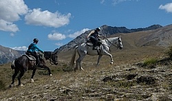 Heading Up the Mountain in Ahuriri Conservation Area New Zealand , Wild Women Expeditions with Adventure Horse Trekking New Zealand 