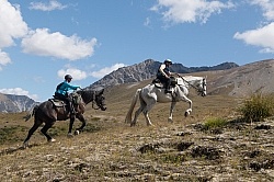 Heading Up the Mountain in Ahuriri Conservation Area New Zealand , Wild Women Expeditions with Adventure Horse Trekking New Zealand 