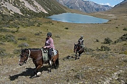 Heading Up the Mountain in Ahuriri Conservation Area New Zealand , Wild Women Expeditions with Adventure Horse Trekking New Zealand 