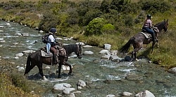 River Crossing in Ahuriri Conservation Area New Zealand , Wild Women Expeditions with Adventure Horse Trekking New Zealand 